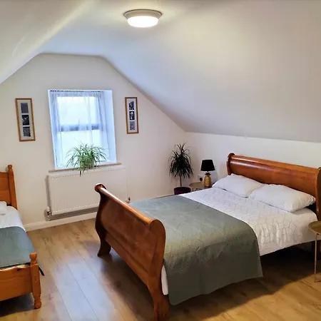 Apartment Letting *